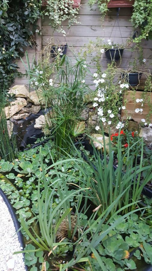 Bed and Breakfast La Chuchotiere Sainte-Maure-de-Touraine Exterior foto